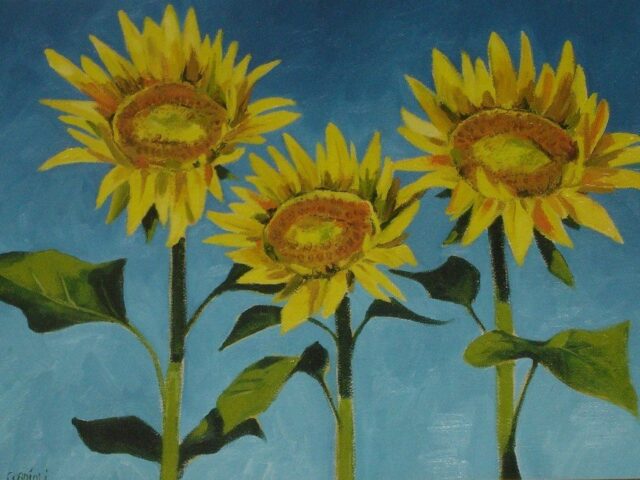 Girasoli